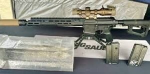 Buy Sig HYP AR-10